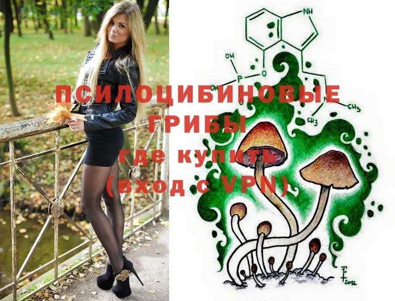 Галлюциногенные грибы Psilocybine cubensis  Анадырь 